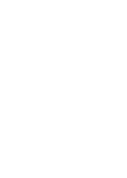 Austin Spurs crest